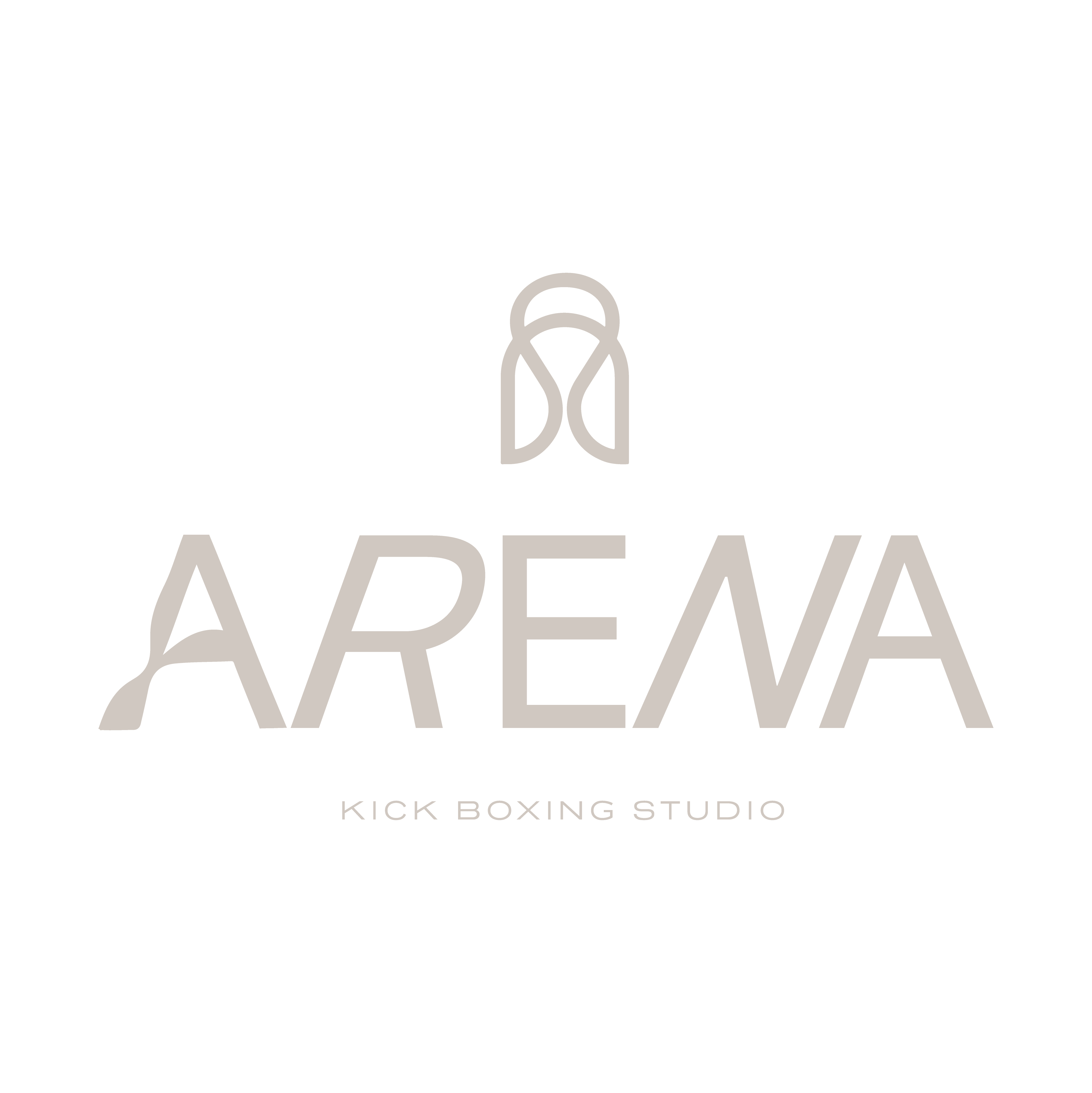 Arena Kickboxing Studio